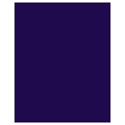 Blue Violet / Bleu violet 75ml