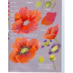 Gran's workbook