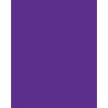 JS595 - Brilliant Violet - Violet Brillant - 75ml