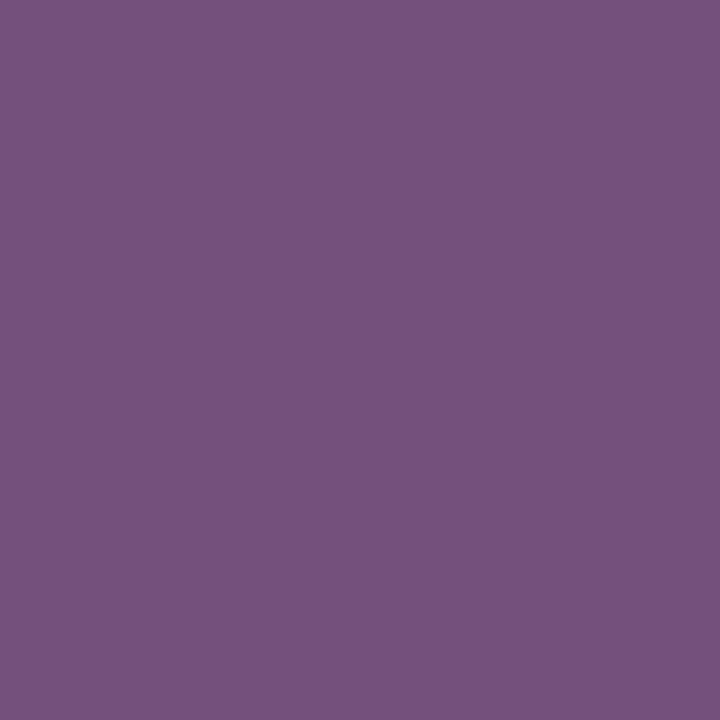 Brillant Purple / Pourpre Brillant 2oz/59ml