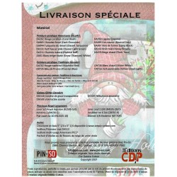 Livraison spéciale de Debbie Cotton