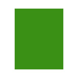 Brillant Green / Vert Brillant 75ml
