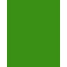 JS003 - Brillant Green - Vert Brillant - 75ml